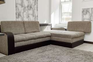Апартаменты Transitional Havryky Apartment Львов Апартаменты с 2 спальнями-48